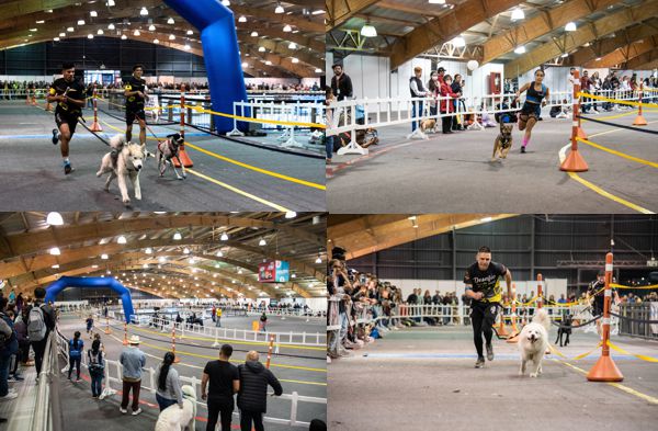 LA ADRENALINA Y LAS EMOCIONES REGRESAN AL CAMPEONATO DE CANICROSS COLOMBIA DE LA FERIA EXPOPET 2023