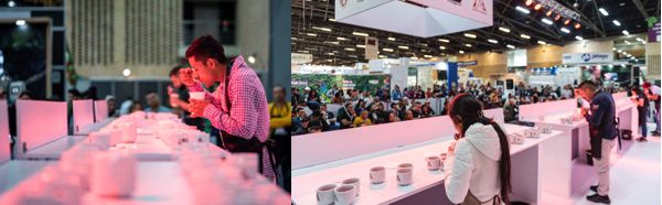 CAFÉS DE COLOMBIA EXPO 2023, TENDRÁ CATAS GRATUITAS PARA LOS VISITANTES