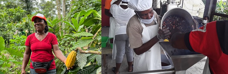 GUAPI, CAUCA Y BAJO CALIMA DE BUENAVENTURA, ESTARÁN PRESENTES EN LA QUINTA EDICIÓN DE LA FERIA CHOCOSHOW