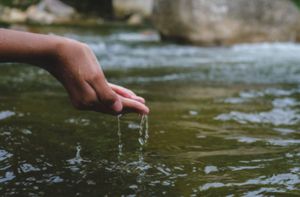 DÍA MUNDIAL DEL AGUA: DESCUBRA CÓMO OPTIMIZAR EL USO DE ESTE RECURSO VITAL EN LA VITRINA VIRTUAL DE ECONEXIA