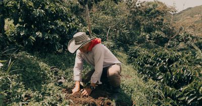 STARBUCKS ANUNCIA EL REGRESO DE SU PROGRAMA “JUNTOS POR EL CAFÉ” PARA APOYAR A CAFICULTORES COLOMBIANOS
