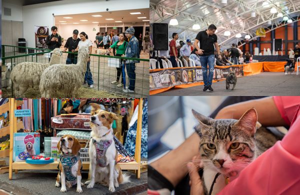 EXPOPET 2025 ABRIÓ SUS PUERTAS A LA GRAN CITA FAMILIAR MULTIESPECIE