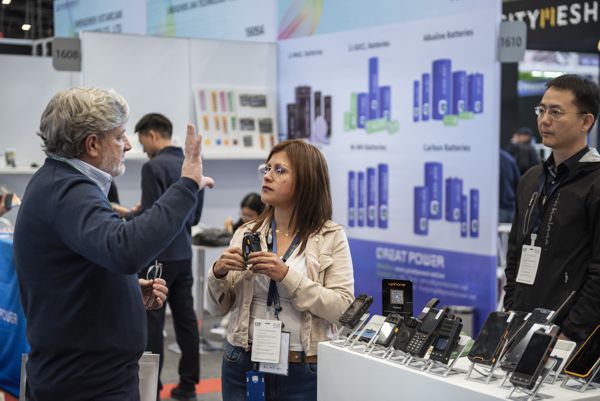 CIBERSEGURIDAD Y ACCESO: RETOS Y SOLUCIONES EN ESS+ 2025