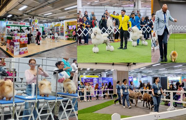 UNA FERIA CON PROPÓSITO: EXPOPET REÚNE CIENCIA, COMPROMISO SOCIAL Y AMOR POR LAS MASCOTAS
