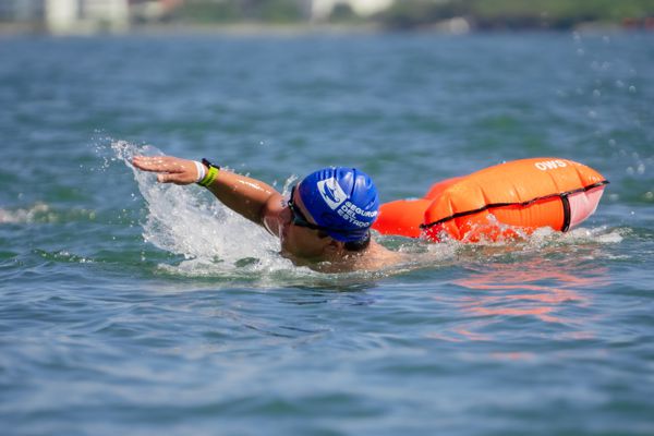 REGRESA A SANTA MARTA EL OPEN SWIMMERS SEGUROS DEL ESTADO 2025: AGUAS ABIERTAS, NATURALEZA Y NATACIÓN SIN LÍMITES