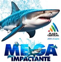 LA EXHIBICIÓN “MANIFIESTO MEGALODÓN TIBURONES COLOMBIANOS”, LLEGÓ A PLAZA CENTRAL CENTRO COMERCIAL