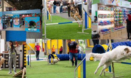EXPOPET ABRIRÁ SUS PUERTAS EN CORFERIAS DEL 13 AL 17 DE AGOSTO PARA LAS FAMILIAS INTERESPECIE