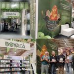 BOYACÁ DEPARTAMENTO INVITADO DE HONOR EN LA EDICIÓN 38 DE LA FILBO