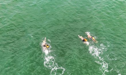 EL OPEN SWIMMERS SEGUROS DEL ESTADOS CONFIRMÓ NUEVAS FECHAS PARA LA SEXTA EDICIÓN