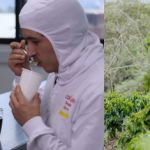 COLCAFÉ, DE GRUPO NUTRESA, CELEBRA EL DÍA NACIONAL DEL CAFÉ IMPULSANDO EL CONSUMO INTERNO Y LA EVOLUCIÓN DE LA INDUSTRIA