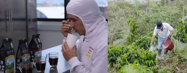 COLCAFÉ, DE GRUPO NUTRESA, CELEBRA EL DÍA NACIONAL DEL CAFÉ IMPULSANDO EL CONSUMO INTERNO Y LA EVOLUCIÓN DE LA INDUSTRIA