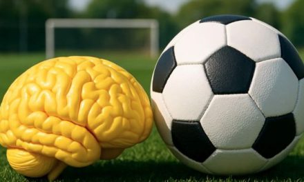 EL CEREBRO DEL HINCHA, DECISIONES IRRACIONALES