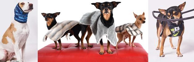 CASOS DE ÉXITO DE LA INDUSTRIA PET LLEGARÁN A EXPOPET 2026 COMO PROTAGONISTAS DE LA MUESTRA COMERCIAL