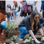 VASSAR FESTIVAL DE CREADORES SE UNE AL REVERDECIMIENTO DEL BRONX DISTRITO CREATIVO CON “RAÍCES DEL RENACER”