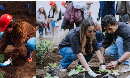 VASSAR FESTIVAL DE CREADORES SE UNE AL REVERDECIMIENTO DEL BRONX DISTRITO CREATIVO CON “RAÍCES DEL RENACER”