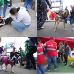 EXPOPET 2026: ADOPCIÓN RESPONSABLE EN CORFERIAS
