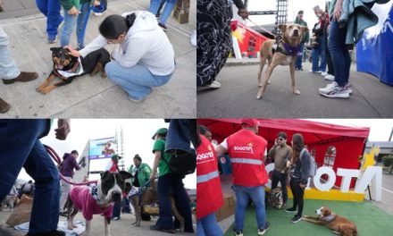 EXPOPET 2026: ADOPCIÓN RESPONSABLE EN CORFERIAS