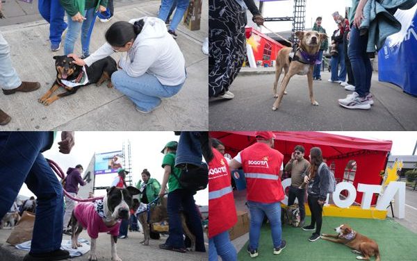 EXPOPET 2026: ADOPCIÓN RESPONSABLE EN CORFERIAS