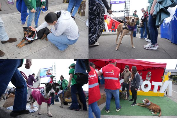 EXPOPET 2026: ADOPCIÓN RESPONSABLE EN CORFERIAS