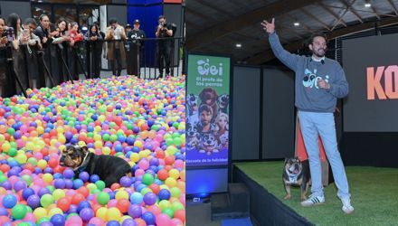 EXPOPET IMPULSA EL MERCADO DE CAPACITACIÓN PARA ANIMALES, PROYECTADO EN 4.932 MILLONES DE DÓLARES EN 2026, SEGÚN MARKET RESEARCH REPORT