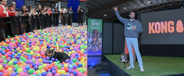 EXPOPET IMPULSA EL MERCADO DE CAPACITACIÓN PARA ANIMALES, PROYECTADO EN 4.932 MILLONES DE DÓLARES EN 2026, SEGÚN MARKET RESEARCH REPORT