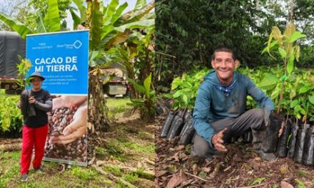 GRAN TIERRA ENERGY Y SWISSCONTACT UNEN ESFUERZOS PARA SEGUIR FORTALECIENDO EL SECTOR CACAOTERO EN PUTUMAYO, BENEFICIANDO A 79 FAMILIAS RURALES EN PUERTO ASÍS