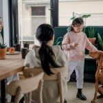 JORNADA DE ADOPCIÓN DE PERROS Y GATOS EN BOGOTÁ: CONOZCA CUÁNDO, CÓMO Y LOS REQUISITOS