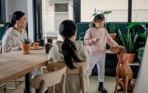 JORNADA DE ADOPCIÓN DE PERROS Y GATOS EN BOGOTÁ: CONOZCA CUÁNDO, CÓMO Y LOS REQUISITOS