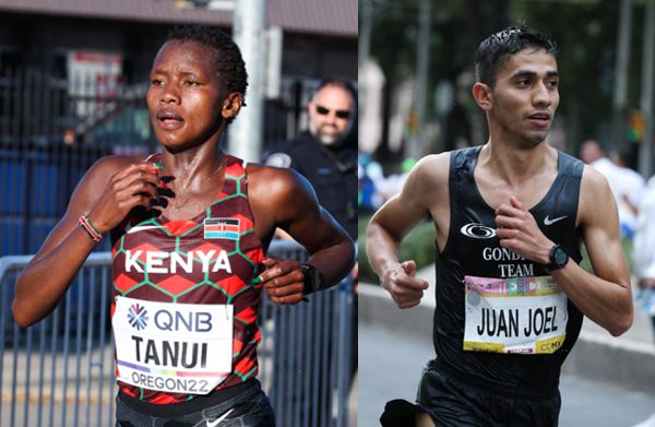 NUEVO GRUPO DE FIGURAS CONFIRMADO PARA LA MMB