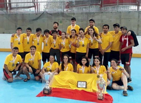 Bogota campeón interligas hockey en línea 2019