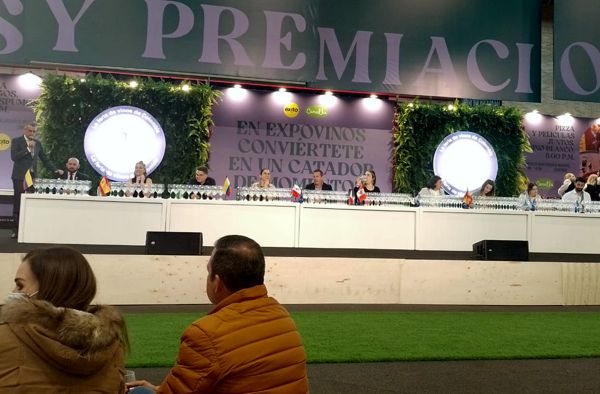 CATA A CIEGAS EN EXPOVINOS 2022