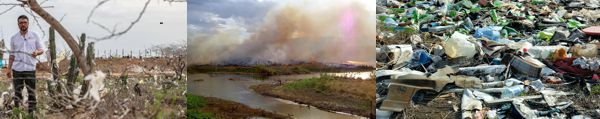 AÑO 2020 BALANCE NEGATIVO PARA EL AMBIENTE