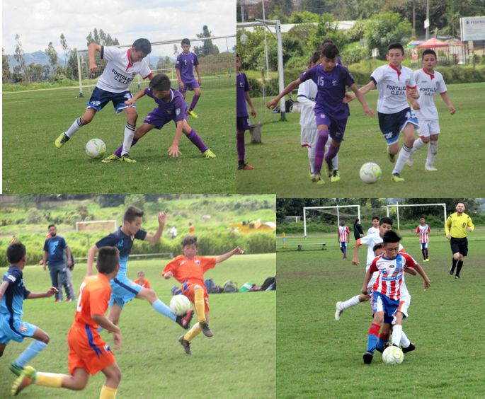 Fecha 2 -4