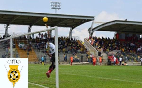 EL SÁBADO 8 DE FEBRERO COMENZARÁ LA EDICIÓN XVIII DEL TORNEO JUVENIL DE FÚTBOL INDEPENDIENTE NACIONAL 2020