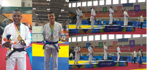 Jiu Jitsu mundial artes marciales