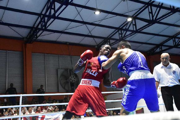 LA RESILIENCIA DEL VALLE REPRESENTADA EN EL MOMO ROMERO