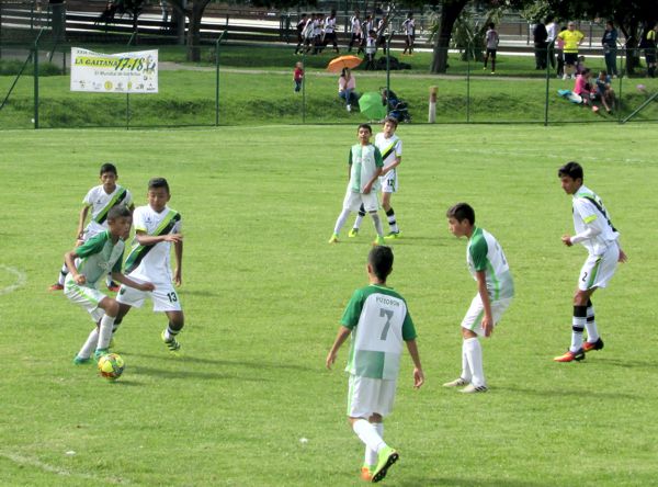 Verdolagas vs Renovadores