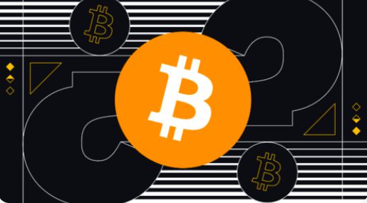MITOS Y REALIDADES DE LAS CRIPTOMONEDAS QUE PERMITEN MAYOR USO