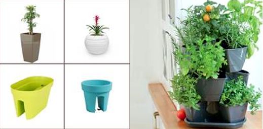 NUEVA TENDENCIA EN DECORACIÓN INCORPORA PLANTAS Y FLORES