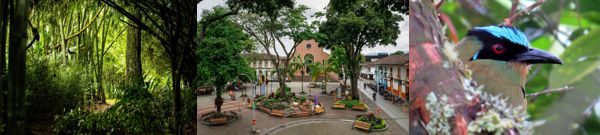 QUINDÍO PARTICIPA EN LA 40 VITRINA TURÍSTICA ANATO 2021, INICIA LA REACTIVACIÓN DEL TURISMO EN COLOMBIA
