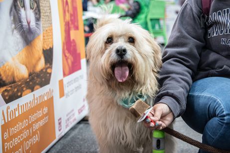 UNA IMPERDIBLE VARIEDAD DE ALIMENTOS DE ORIGEN NATURAL PARA TUS MASCOTAS EN EXPOPET COLOMBIA